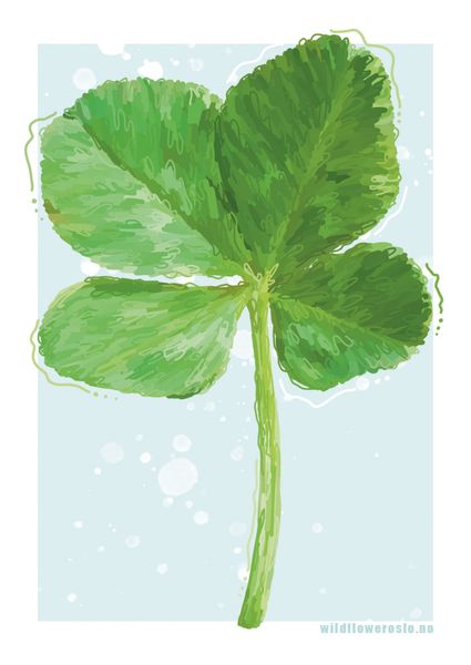 PLAKAT 30x40 cm #0101