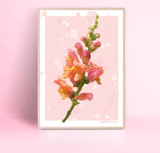 Hovedbilde PLAKAT 30x40 cm #0120