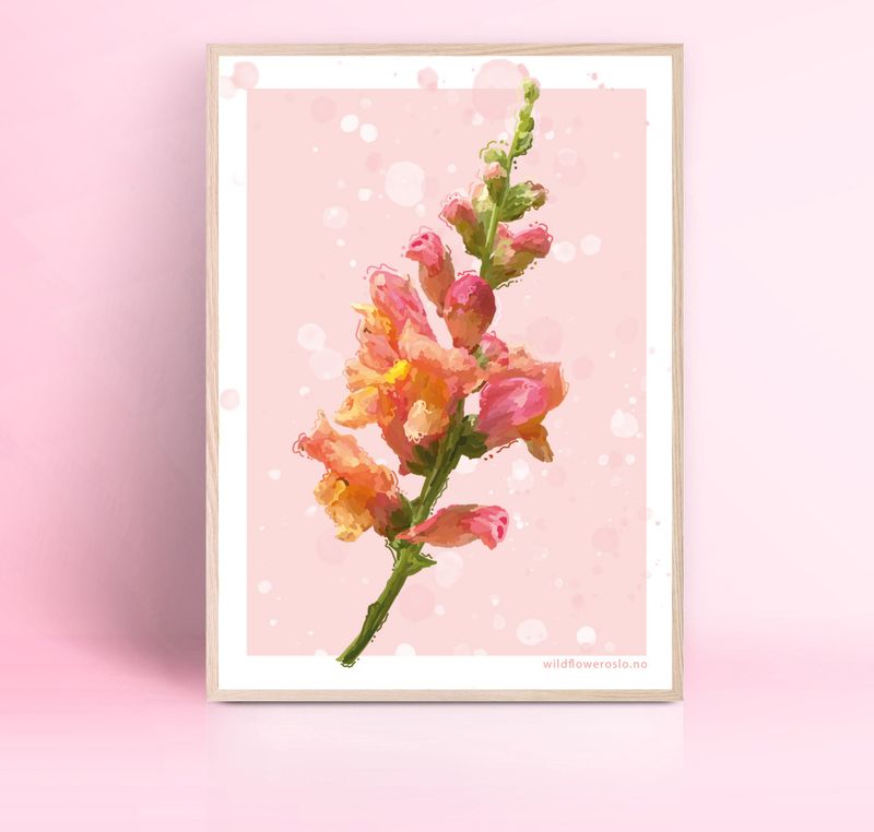 PLAKAT 30x40 cm #0120